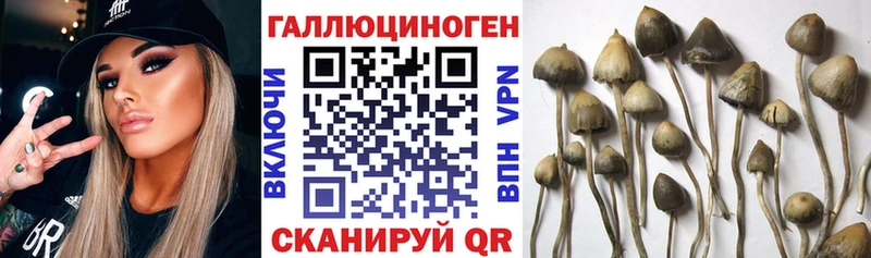 Псилоцибиновые грибы ЛСД  продажа наркотиков  Талица 